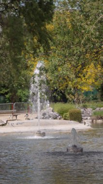 Bereketli yeşil ağaçlar ve açık mavi gökyüzü ile çevrili sakin ve ferahlatıcı bir ortam sunan sakin bir park ortamındaki çeşme dinlenme ve açık hava aktiviteleri için mükemmeldir.