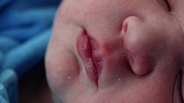 Yeni doğmuş bebeğin ağzı ve yüzü doğumdan sonraki ilk saatlerde huzurlu bir uykuda makro detaylarla uyuyordu.
