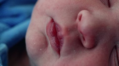 Yeni doğmuş bebeğin ağzı ve yüzü doğumdan sonraki ilk saatlerde huzurlu bir uykuda makro detaylarla uyuyordu.