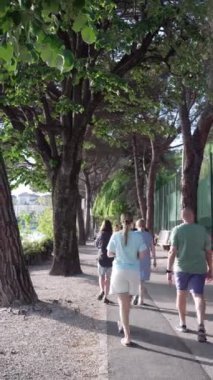 Bazı insanlar gün boyunca ağaçların arasında yürür, kaldırımda yürürler.