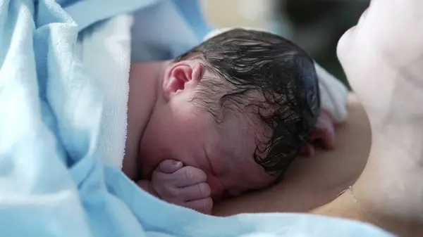 stock image Real life newborn baby resting on mother's chest crying for the first time in the first minutes of life. authentic infant right after childbirth