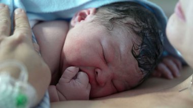 Doğumdan Sonra Yeni Doğan Yüz Yakın Çekim Anları - Anne 'nin Göğsüne Dinlenen, Deriden Deriye Acil Temas
