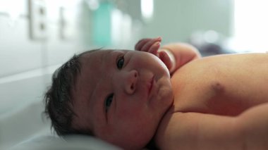 Siyah saçlı yeni doğmuş bebek ve hastane yatağında uzanmış kişisel bilezik, baş parmağını emiyor, tuhaf bir şekilde bakıyor, huzurlu bir ifade, hayatın ilk anları, yakın plan.