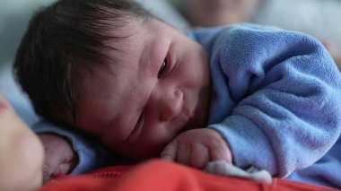 Mavi tulumlu yeni doğmuş bir bebeğin, büyük bir kardeşin göğsünde dinlenmesi, sevgi dolu ve huzurlu bir aile ortamında güçlü bir kardeş bağı sergilemesi.