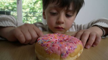 Oğlan, ahşap masaya renkli şekerlemeler serpiştirilmiş pembe bir donutu dürtüyor, çocukluk arzularını, hoşgörüsünü, merakını ve beklentilerini temsil ediyor.