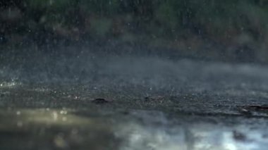 Yağmur damlaları, yağmurun doğal güzelliğini ve akışkan dinamiklerini vurguluyor. Suyun dingin ve büyüleyici hareketini vurguluyor.