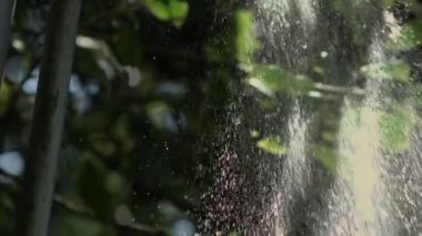 Yağmur damlaları yere yavaş çekimde 1000 fp hızla düşer, suyun detaylı sıçramalarını ve dokusunu yakalar, yeryüzü ile etkileşime girer, yağmurun doğal güzelliğini vurgular.
