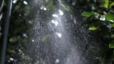 Güneş ışığı damlacıkları yavaş çekimde 1000 fps hızla bir duş başlığından saçılıyor, karmaşık şablonları ve dinamik hareketleri sergiliyorlar, doğanın canlandırıcı güzelliğini vurguluyorlar.