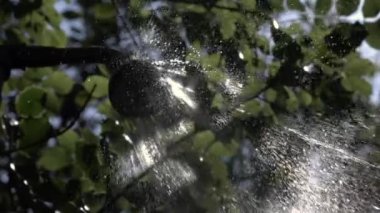 Duş başlığından fışkıran su, 1000 fps 'lik yavaş çekimde, parlak damlacıklar ve yemyeşil bir zemine karşı dinamik akış, doğanın özünü yakalıyor.