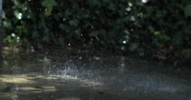 Su ıslak zemine sıçrıyor, damlacıkların yavaş çekim görüntüsü doğal ortamda dinamik ve ferahlatıcı bir sahne oluşturuyor.