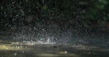 Yere su sıçratma, damlacıkların yavaş çekim görüntüsü doğal bir arka planı olan dinamik ve ferahlatıcı bir sahne yaratıyor.