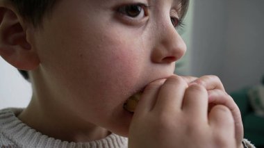 Genç bir çocuk pembe şekerli donut yiyor. Renkli serpilmiş, çocukluk hoşgörüsünü ve neşesini temsil ediyor. Yüzüne ve ellerine yakın plan, kapalı alan.