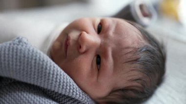 Yeni doğmuş bir bebeğin dinlenme ve geniş gözlerle bakma görüntüsü, erken yaşlardaki merak ve masumiyet anları, besleyici bir çevrede sıcaklık ve konforla çevrili.