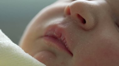 Yeni doğmuş bir bebeğin hassas cildine, kapalı gözlerine ve huzurlu ifadesine odaklanan makro görüntüsü. Saf masumiyet ve yeni doğan bir bebeğin huzurlu uykusunun sükuneti.