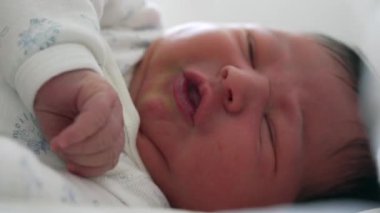 Yeni doğmuş bir bebeğin, ilk ayın karakteristik özellikleri olan, merakla hareket eden ve somurtan ve hareket eden görüntüsü, erken yaşam temaları için mükemmel.