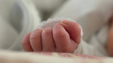 Yeni doğan bir bebeğin küçük elinin yakın çekimi, eski hayatın hassas detaylarını gözler önüne seriyor. Bir bebeğin teninin yumuşaklığı ve hassasiyeti saflığı ve masumiyeti yansıtır.