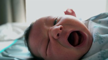 Yeni doğmuş bir bebeğin yatakta uzanırken esnemesi, eski hayattaki huzuru ve rahatlığı yansıtıyor. Çocukluğu tanımlayan basit, hassas anlar