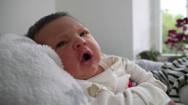 Yumuşak bir battaniyenin üzerinde dinlenen bebeğe yakın çekim, sakince bakmak, yakınlardaki bir pencereden gelen doğal ışık rahat bir ev ortamındaki huzurlu ortamı güçlendirir.