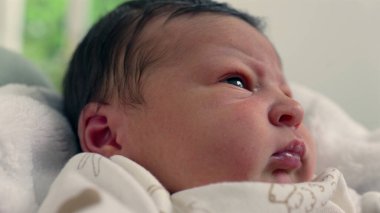 Yumuşak bir battaniyenin içinde dinlenen düşünceli bir yüzü olan yeni doğmuş bir bebeğin yakın çekimi, rahat bir ev ortamındaki sessiz merakı ve erken farkındalığı yakalıyor.