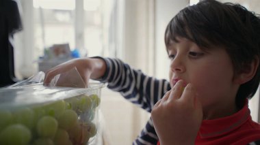 Genç çocuk yeşil üzüm kabına uzanıyor, merakını ve bağlılığını basit bir aktivitede gösteriyor, bir keşif anını vurguluyor ve odaklanıyor.