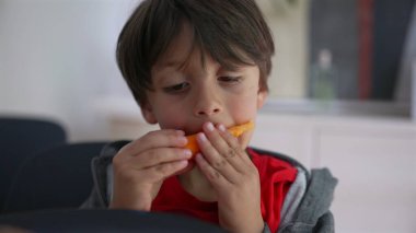 Genç çocuk özenle taze bir havuç yiyor, her lokmaya odaklanıyor, sağlıklı beslenme alışkanlıklarını ve çocukluk anılarını gündelik bir evde vurguluyor.