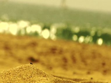 Sahildeki kum tepeciklerine yakın çekim, arka planda okyanus dalgaları, desenli kum ile uzak su arasındaki zıtlığı yakalıyor.