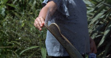 Çocuk halka açık bir fıskiyeye basıyor, yavaş çekim su püskürtüyor ve damlacıklar güneşte parlıyor, arka planda yeşil yapraklar var.