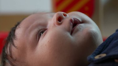 İçerde dinlenen bir bebeğin yan görüntüsü. Yumuşak ve barışçıl bir ifadeyle yukarıya bakıyor. Bebek gözlemleme çevresi merakla