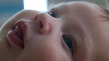 Bebek yüzüne aşırı yakın çekim, göz ve buruna odaklanma. Bebek yatağa uzanıyor, sakin ve sakin bir şekilde yukarı bakıyor, bebek yüz hatlarının ayrıntıları.