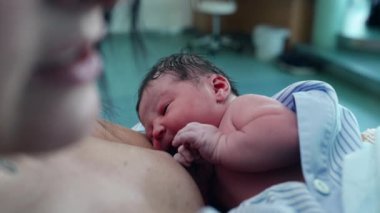 Yeni Doğan Bebek, Hastane Kliniği 'nde, Yüzün Kapanışı' nda İlk Yaşam Dakikaları sırasında Emzirmeye Çalışıyor