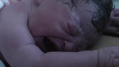 Yeni doğan bebek doğduktan sonra ilk kez ağlıyor. Gerçek hayatta, annesinin rahminden ayrıldıktan sonra mücadele eden bir bebeğin doğumu.