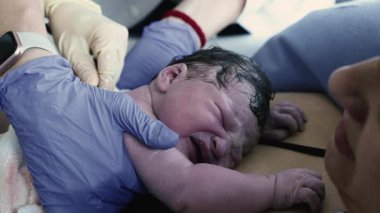 Yeni doğan bebeği muayene eden, doğum sonrası ilk anlarda annesinin göğsünde ağlayan, acil bakım ve anne temasını vurgulayan doktor.