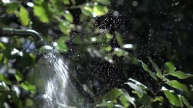 Su damlacıkları, yavaş çekimde, 1000 fps hızla, güneş ışığının parıltılı bir etki yaratarak, suyun karmaşık örüntülerini ve doğal güzelliğini vurgulayarak, bir duş başlığından dağılıyorlar.