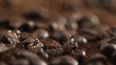 Düşen Kahve Fasulyeleri ve Dağınık Toz Yavaş Çekimde 1000 fps 'de yakalandı