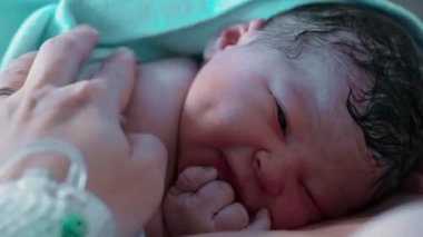 Yenidoğan Yaşamının İlk Anları - Bebek Anne 'nin Göğsüne Battaniyeyle Kaplanmış, Dünyayı Tecrübe Ediyor