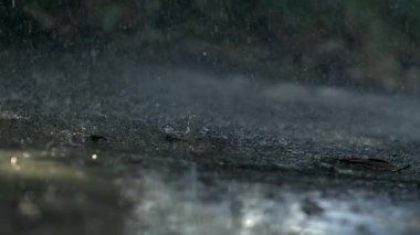 Yağmur damlaları ıslak bir yüzeye 1000 fp hızla düşüyor, su ve yer arasındaki detaylı etkileşimi yakalıyor, yağmurun dinamik hareketini ve doğal güzelliğini vurguluyor