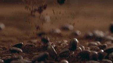 Kahve Fasulyelerinin Macro Ele Geçirilmesi ve Pudra Uçuşu, 1000 fps hızla Süper Yavaş Çekim