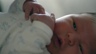 Yeni doğmuş bebek, ebeveyni tarafından alnından nazikçe öpüldü, yakın plan. bebek yüzü rahatlık ve rahatlık gösterir, ebeveyn ve çocuk arasındaki bağı vurgular.