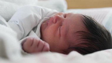 Yeni doğmuş bebek mışıl mışıl uyuyor, minicik bir el yüzünün yanında dinleniyor. Erken yaşamın nazik ve huzurlu doğası, besleyici bir çevrenin güvenliğine ve rahatlığına odaklanıyor.