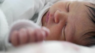 Yeni doğan bebek, küçük ele odaklanmış bir şekilde huzur içinde uyuyor. erken yaşamın sükuneti ve sükuneti, güvenli bir ortamın sıcaklığını ve rahatlığını vurguluyor.