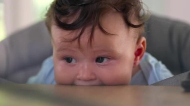 Bebek yemek masasında yatıyor, yüzeyi ısırıyor, büyük gözlü yüz ifadesi, erken çocukluk duyusal keşifleri, diş çıkarma davranışları, ilginç keşif anları, ev ortamları.