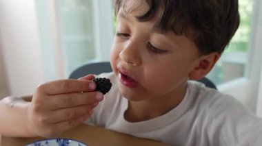 Masada böğürtlen yiyen, taze meyvenin tadını çıkaran, böğürtlenlerle dolu bir kase, pencereden süzülen doğal gün ışığı, sakin bir an, sağlıklı bir çocukluk atıştırmalığı.