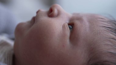 Yenidoğan 'ın yüzü, gözleri tamamen açık, erken yaşların merak ve masumiyeti, hassas cildini ve bebeğin yüz hatlarının ince detaylarını vurguluyor.