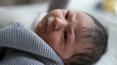 Yeni doğmuş bir bebeğin dinlenme ve geniş gözlerle bakma görüntüsü, erken yaşlardaki merak ve masumiyet anları, besleyici bir çevrede sıcaklık ve konforla çevrili.