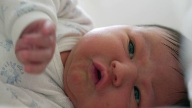 Yeni doğmuş bir bebeğin, ilk ayın karakteristik özellikleri olan, merakla hareket eden ve somurtan ve hareket eden görüntüsü, erken yaşam temaları için mükemmel.