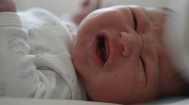 Yeni doğmuş bebek yatakta yatıyor, gözleri sonuna kadar açık, merakla etrafı keşfediyor. Bebek yüzü merak ve ilgi gösteriyor, doğal, yumuşak ışık içeride.