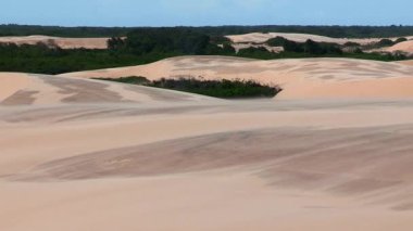 Yeşil bitkilerle dolu geniş kum tepeleri kurak çöl ve gelişen doğa arasındaki hassas dengeyi ortaya koyuyor.