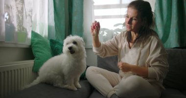 Küçük beyaz köpekle iç mekanda etkileşim halinde olan bir kadın, rahat ev ortamında eğlenerek besleniyor, minderlerle ve parlak pencerelerle çevrili.