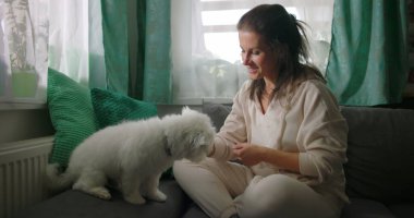 Küçük beyaz köpekle iç mekanda etkileşim halinde olan bir kadın, rahat ev ortamında eğlenerek besleniyor, minderlerle ve parlak pencerelerle çevrili.