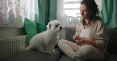 Küçük beyaz köpekle iç mekanda etkileşim halinde olan bir kadın, rahat ev ortamında eğlenerek besleniyor, minderlerle ve parlak pencerelerle çevrili.